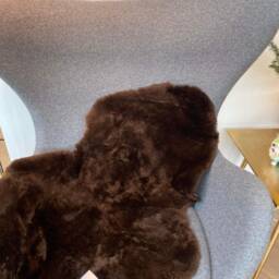Chocolate Brown Short Wool Shearling, Genuine Sheepskin, 70 X 90cm - thumbnail 2