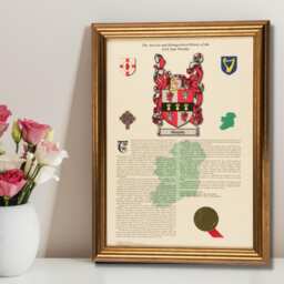 Personalised Irish Family Name History, Coat Of Arms, A3 Framed Print - thumbnail 1