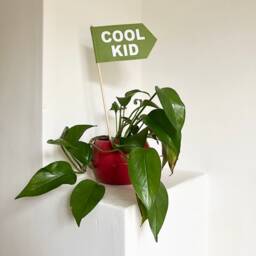 Cool Kid Felt Flag in Custom Colours - Spearhead Standard Or Mini Size Kids Room Colourful Play Nursery Decor - thumbnail 2