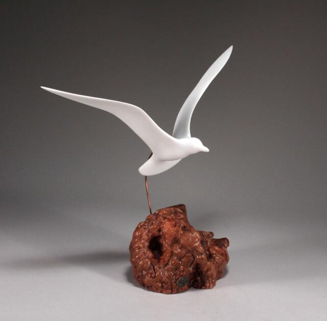 Seagull Sculpture By John Perry 14In Wing Span On Burlwood Upwing Version. Signed - image 1