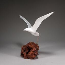 Seagull Sculpture By John Perry 14In Wing Span On Burlwood Upwing Version. Signed - thumbnail 2