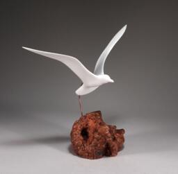 Seagull Sculpture By John Perry 14In Wing Span On Burlwood Upwing Version. Signed - thumbnail 1