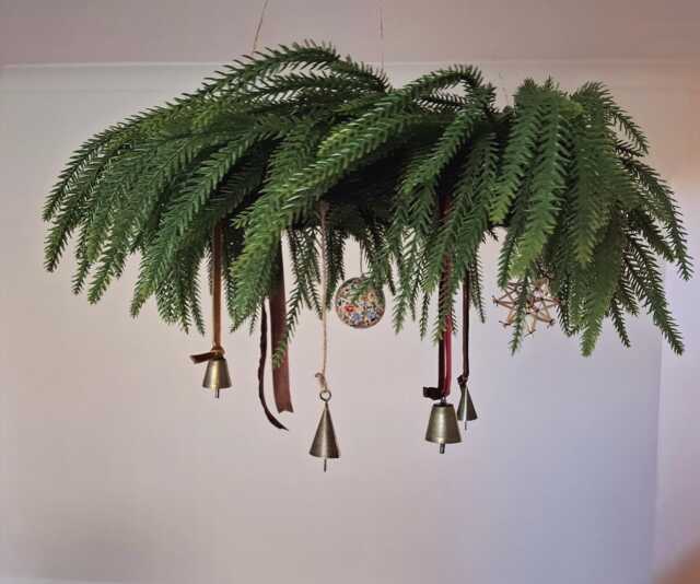 20Inch/50cm Scandinavian Style Realistic Norfolk Pine Christmas Wreath For Over Table Hanging From Ceiling - image 1