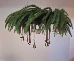 20Inch/50cm Scandinavian Style Realistic Norfolk Pine Christmas Wreath For Over Table Hanging From Ceiling - thumbnail 1
