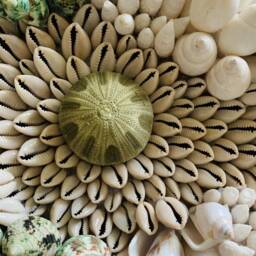 "Seashell Mosaic Wall Art - ""Deep Sea Coral Reef" - thumbnail 4