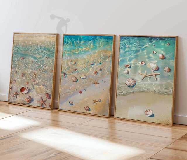 Seashell Beach Prints, Set Of 3 Coastal Wall Art