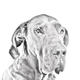 Great Dane - Wooden Stand For Candles/Pens With The Image Of A Dog New Collection - thumbnail 2