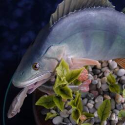 Perch Figurine, Fish Diorama, Polymer Clay, Table Decoration, Bass Statue, Handmade Fishes, Gift For Fisherman, Office Decor, Made To Order - thumbnail 2
