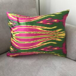 Luxury Ikat Decorative Cushions
