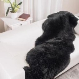 Genuine Australian Sheepskin Rug Double Pelt Black Fur, Approx. 2Ft X 6Ft Floor Wool Chair
