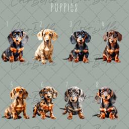 Personalised Dachshund Bauble, Any Text Colour New Puppy Gift Watercolour Sausage Dog Name Christmas Tree Pet Ideas Lover Owner - thumbnail 2