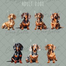 Personalised Dachshund Bauble, Any Text Colour New Puppy Gift Watercolour Sausage Dog Name Christmas Tree Pet Ideas Lover Owner - thumbnail 3