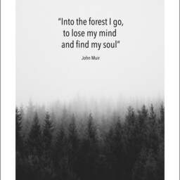 Inspirational Landscape Prints John Muir Quotes, Into The Forest & Mountains Are Calling Artworks - thumbnail 2