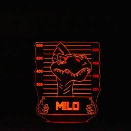 Personalised Dinosaur Led Night Light Kids Bedroom Decor - thumbnail 4