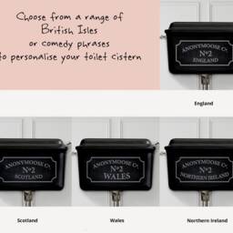Set Of 2, His & Hers, Highland Cow Funny Bathroom Prints, On The Toilet in Hair Curlers, Valentines Day Or Anniversary Prints - thumbnail 2