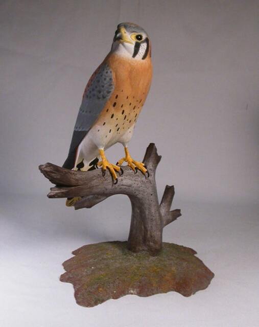 9-1/2 Inch American Kestrel Male Hand Carved Wooden Bird Carving - image 1
