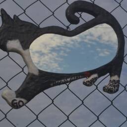 Go Pepsi Girl Never Give Up, Ready To Shipping, Silhouette Mirror, Large Wall Cat Lover Gift, Tuxedo Cats - thumbnail 3