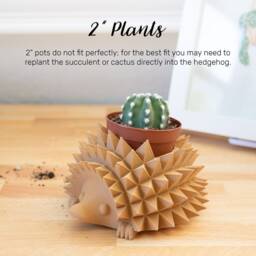 Baby Hedgehog Pot For Succulent Or Cactus, Perfect 1.5 - thumbnail 4