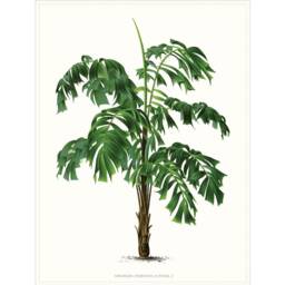 Set Of Four Palm Tree Prints, Botanical Coastal Home Wall Art - thumbnail 2