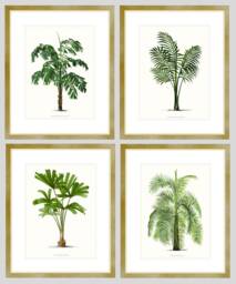 Set Of Four Palm Tree Prints, Botanical Coastal Home Wall Art - thumbnail 1