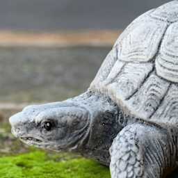 Cute Turtle Statue Concrete Tortoise Garden Figurine Outdoor Wild Animal Sculpture Stone Yard Ornament Turtle Lover Gift Handmade Art - thumbnail 3