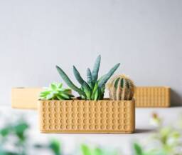 Doted Concrete Planter Box Terracotta Yellow Polka Dot- Minimalist Pot - Succulent Plant Rectangular Polka Dot