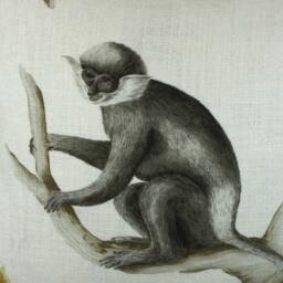 Sanderson - Capuchins Emerald Cushion Cover Throw Pillow Designer Home Decor - thumbnail 3