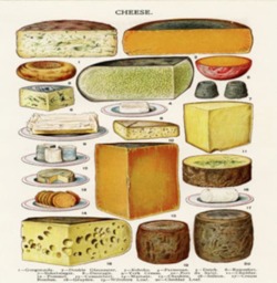 Vintage Food Cheese Dairy - Can Be Customizeable Personlized Cushion Cover Case Or Stuffed With Insert - thumbnail 2