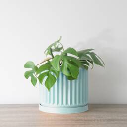 "Classical Planter With Drainage & Saucer in Cotton Candy Blue, Unique 3D-Printed Plant Pot, Small To Large Sizes 4"" 5"" 6"" 7"" 8" - thumbnail 2