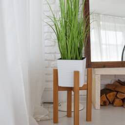 Mid Century Wooden Plant Stand 16 - thumbnail 2