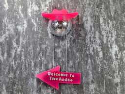 Last Rodeo Bachelorette Decor - Pink Cowboy Disco Ball Custom Hen Party Sign - thumbnail 1