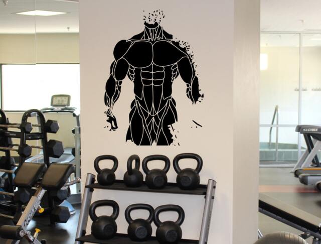 Fitness Gym Muscles Wall Decal Athletic Sport Vinyl Sticker Bodybuilding Home Decor Ideas Interior Art 12(Fmf - image 1