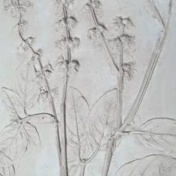 Tile Basil Cast. Botanical Decorative Unique Plaster Wall Art Frame Wood Concrete Impression Pressed Flowers Eco Friendly - thumbnail 3
