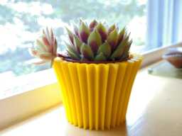 Cupcake 3D Printed Planter - Succulent Mini Modern Geometric Design Made To Order Choose Your Color & Size New Colors