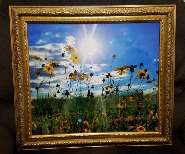 Flowers in The Sky Framed Print - image 1