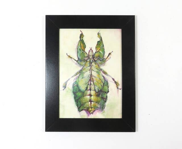 Leaf Bug Insect Green Specimen Phyllium Pulchrifolium Garden Art Print Framed Natural Animal Illustration Gift Home Office Decor - image 1