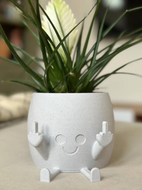 Funny 3D Printed Plant Pot Cheeky Indoor Planter - Gag Gift - image 1