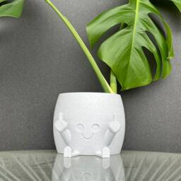 Funny 3D Printed Plant Pot Cheeky Indoor Planter - Gag Gift - thumbnail 2