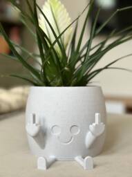 Funny 3D Printed Plant Pot Cheeky Indoor Planter - Gag Gift - thumbnail 1