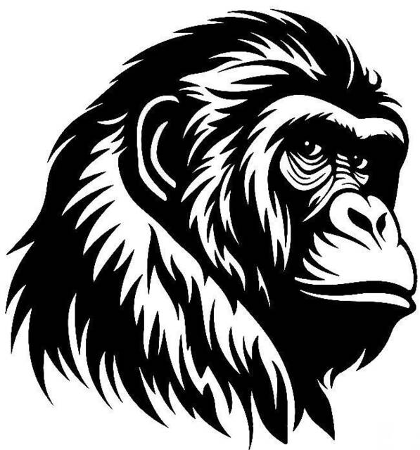 Gorilla Head Car Bonnet Side Sticker Decal Wall Art Vinyl Graphic Window Door Body Panel Van Sign Motorhome Camper Campervan Fun