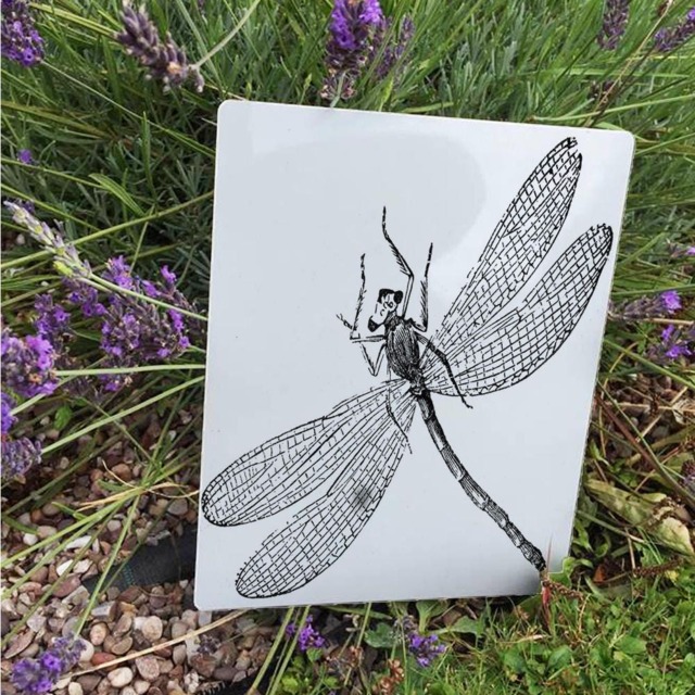Dragon Fly Vintage Advertising Enamel Metal Tin Sign Wall Plaque