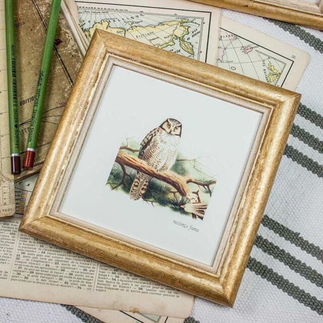 5x5 Inch Square Simple Cottage-style Rounded Bead Profile - Gold With Pale Ochre Inner Photo Frame Deluxe Quality/Instagram/Square - image 1