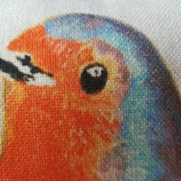 Robin On A Cushion Cover Hessian Style Covercanvass/Linen Feel - thumbnail 3
