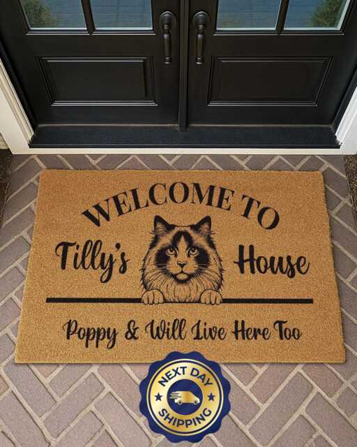 Personalized Cat Welcome Mat - Custom Pet Name Rug Funny Housewarming Gift - image 1