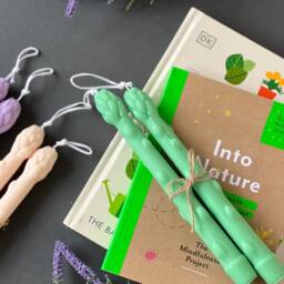 Asparagus Taper Candles Set Of 2 - Vegetable Unique Novelty Gift Realistic Food Candle Farmer Joke Garden - thumbnail 3