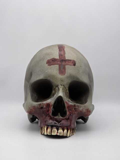 Anointed. Human Skull Replica . Realistic Plaster Of Paris Life Size Human Replica - image 1