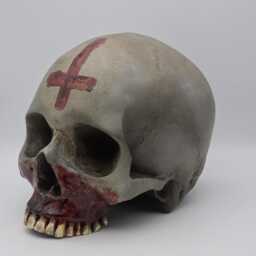 Anointed. Human Skull Replica . Realistic Plaster Of Paris Life Size Human Replica - thumbnail 3