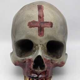 Anointed. Human Skull Replica . Realistic Plaster Of Paris Life Size Human Replica - thumbnail 2