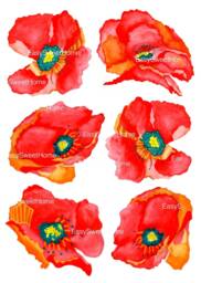 Red Poppy Decals, Set Of 6 Hand-Painted Decals For Walls, Tiles & Furniture, Flower Wall Tattoo Furniture Decal, Easysweethome