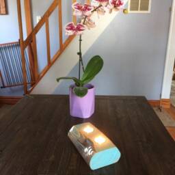 Wood Candleholder - thumbnail 4